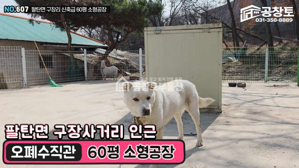 경기 화성만세구 팔탄면 구장리 1동 팔탄면 오폐수직관 매매 매물번호 10441 사진 1