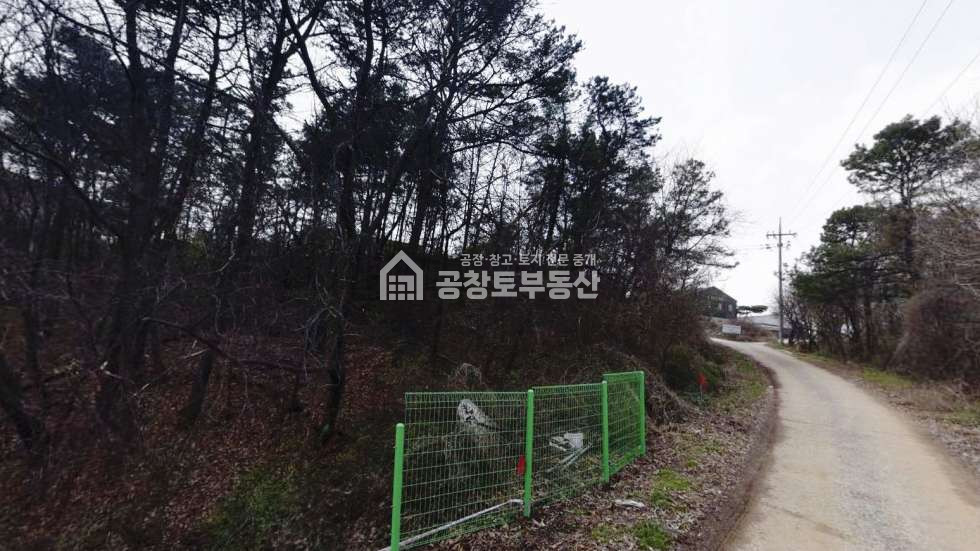 경기 화성만세구 장안면 장안리 1동 공창토 토지 매매. 매매 매물번호 10517 사진 1