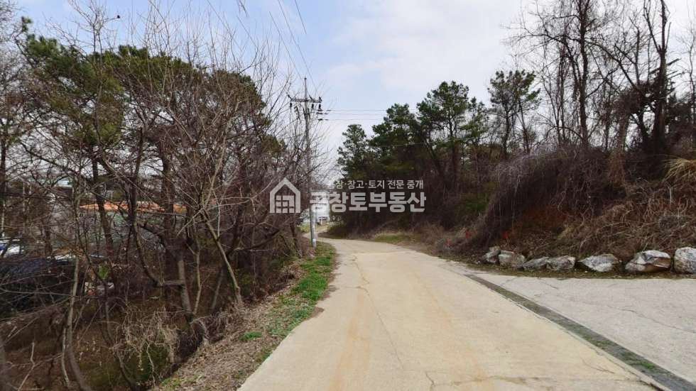 경기 화성만세구 장안면 장안리 1동 공창토 토지 매매. 매매 매물번호 10517 사진 3