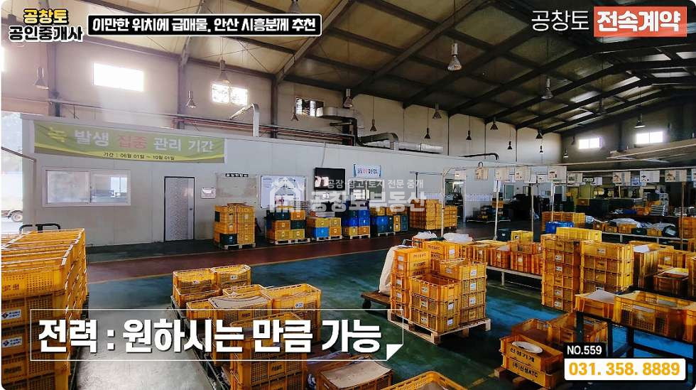 경기 화성만세구 남양읍 북양리 A,B동 화성 남양읍 대형공장 매매 • 고전력 • 단독마당 • 비봉 or 남양 평당300만 최저가 매매 매물번호 10383 사진 12