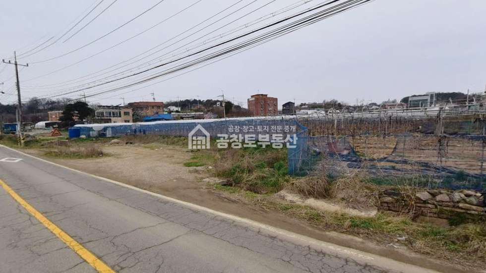 경기 화성만세구 마도면 송정리 공창토매매. 도로변 토지 점용포함 170급 매매 매물번호 11166 사진 1