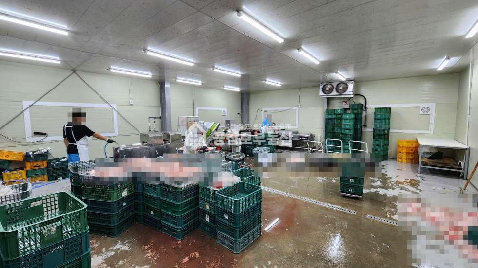 경기 화성효행구 정남면 문학리 1동 [HACCP] 인증 식품공장 설비 있어요! 월세 매물번호 11317 사진 10