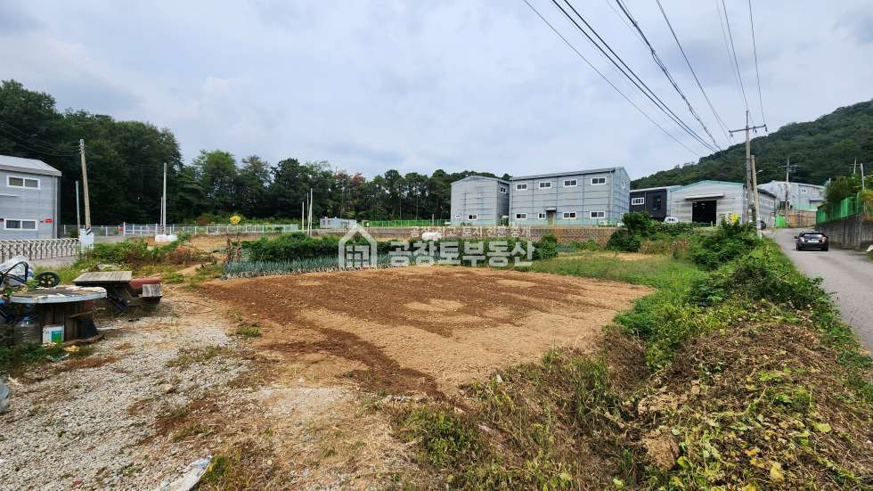 경기 화성만세구 팔탄면 가재리 개발가능한 팔탄면 토지 매매 매물번호 11343 사진 1