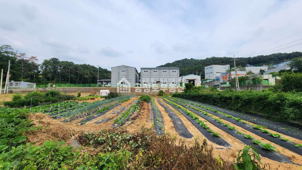 경기 화성만세구 팔탄면 가재리 개발가능한 팔탄면 토지 매매 매물번호 11343 사진 3