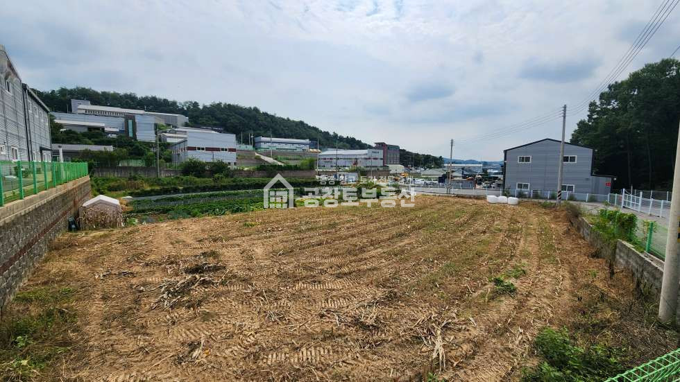 경기 화성만세구 팔탄면 가재리 개발가능한 팔탄면 토지 매매 매물번호 11343 사진 5